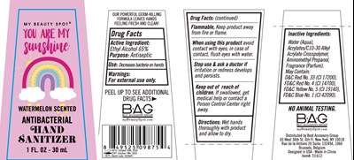Image Description (Watermelon Scented Antibacterial Hand Sanitizer 30 mL 236 mL 65 Vv)